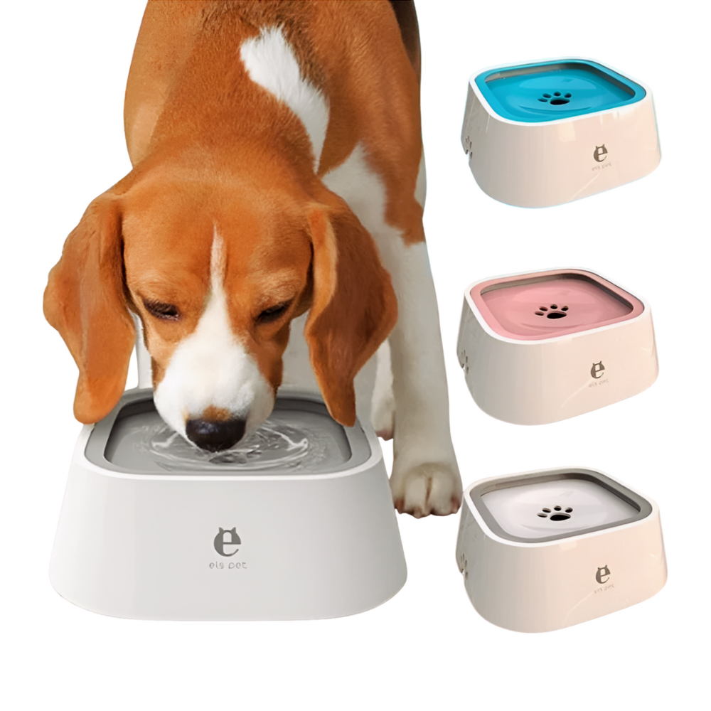 Anti-Spill Water Bowl