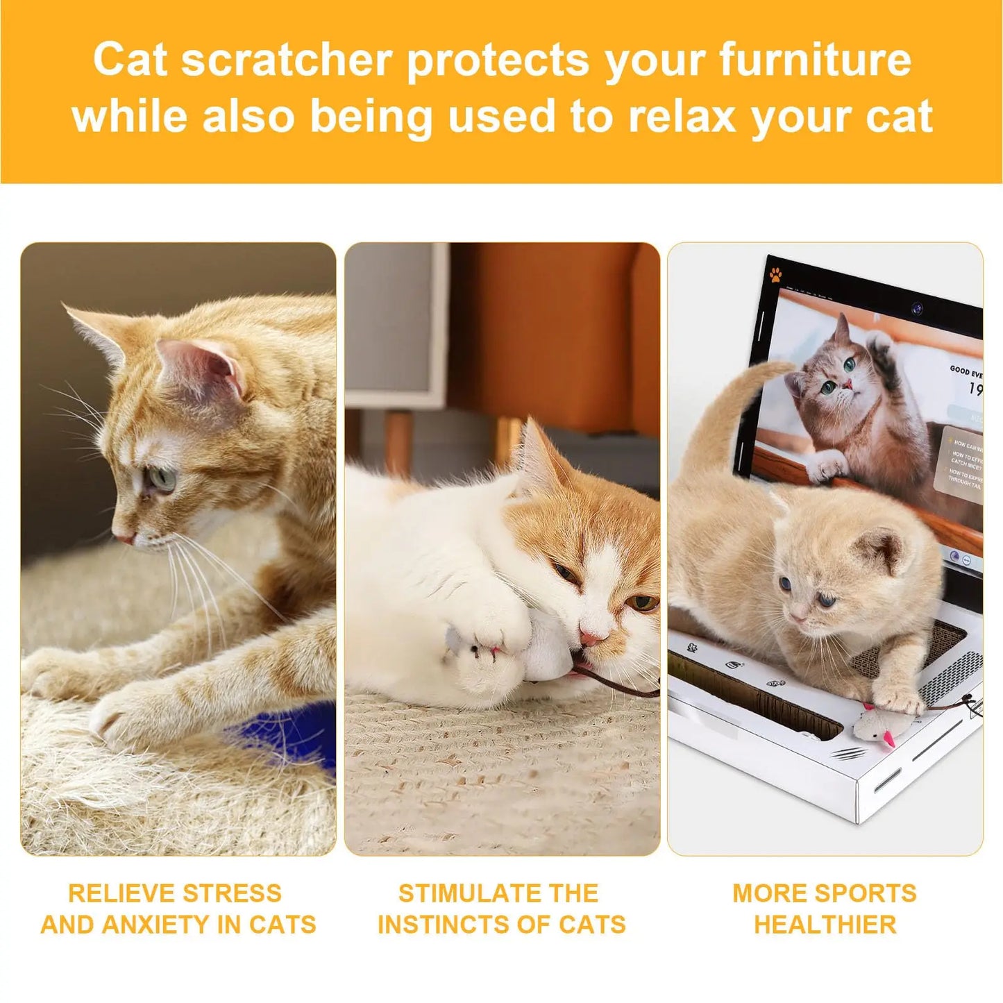 Cat Scratching Board Laptop